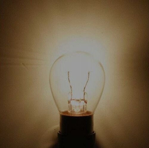 2 LED Turn Signal Bulbs for Honda 2004-2020 VT750C Shadow Aero bulb: US Seller - Fresh Stock Dated February 2026