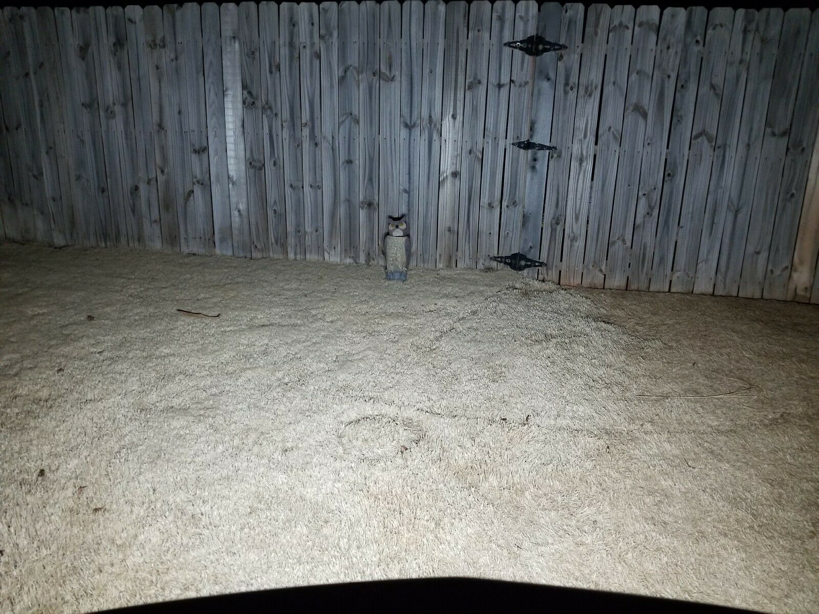 LED Tail light Bulb for Honda 12v 21/5w 34906-447-711 XR250R XR400R VT1100 VT750 - Fresh Stock Dated February 2026