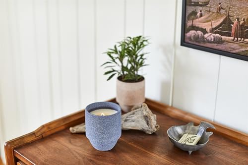 Paddywax National Parks Artisan Soy Wax Scented Candle Made in the USA, 11-Ounce Textured Ceramic Jar, Acadia