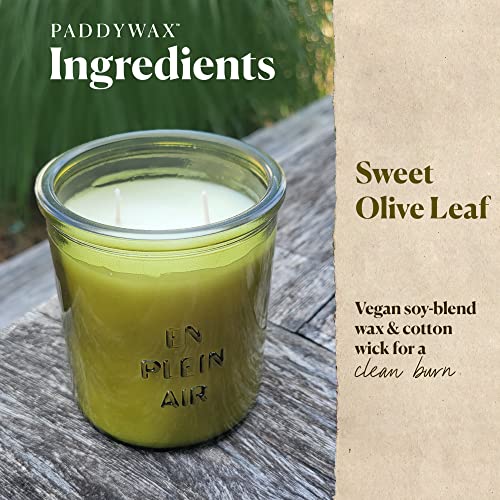 Paddywax Firefly Candle Co. En Plein Air Scented Candles with Soy Wax Blend and Reusable Glass Jar for Home Fragrance and Aromatherapy - 10 Ounce, Sweet Olive Leaf, Green