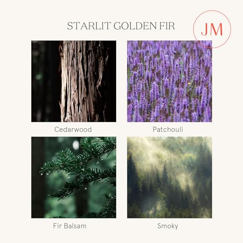 LA JOLIE MUSE Fir & Cedarwood Candle, Scented Candles for Home, Holiday Candle Gifts for Women&Men, Green Jar Candle, Natural Soy Candles, Starlit Golden Fir, 11oz