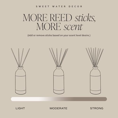 Sweet Water Decor Salt & Sea Reed Diffuser Set - Sea Salt Citrus & Musk Amber Scent Diffuser - Reed Diffusers for Home with Long Lasting Fragrance - Non-Toxic Oil Reed Diffuser - Made in the USA