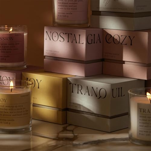 Paddywax Scented Candles Mood Collection Fragrant Boxed Candle in Glass Vessel, 226g, Nostalgia