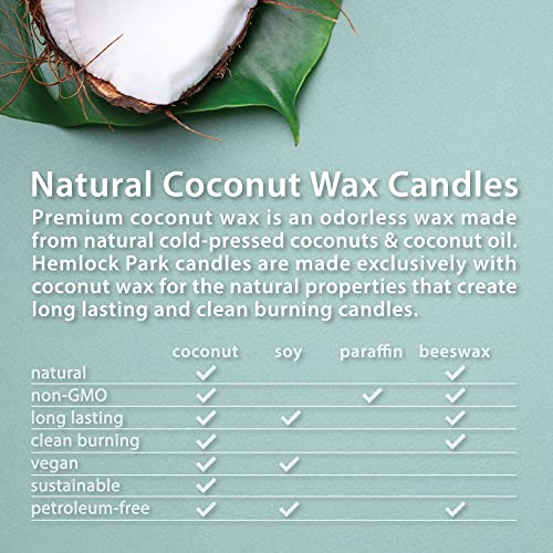 Hemlock Park Crackling Wood Wick Candle Handcrafted with Natural Coconut Wax and Essential Oils (Standard 8 oz, Blood Orange Sage)