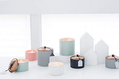 Paddywax Scented Candles Minimalist Hygge Range Luxury Candle, 3-Wick - 425g, Teakwood + Jasmine