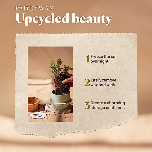 Paddywax - Bamboo & Green Tea (11.5oz) & Gardenia & Tonka (5oz) Scented Ceramic Candle Bundle, Two-Wick Wax Candles, Part of The Folia Collection, Soy Wax Blend, Hand-Poured Wax, Vegan (2-Pack)