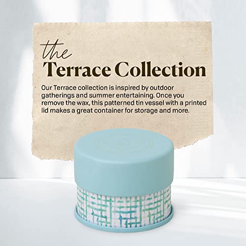 Paddywax Scented Candles Firefly Terrace Collection Soy Wax Candle in Tin, 5-Ounce, Fresh Cut Basil