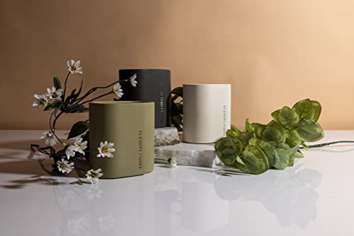 Paddywax Scented Candles Cirque Collection Soy Wax Candle in Oval Concrete Container, 12-Ounce, Green Bamboo