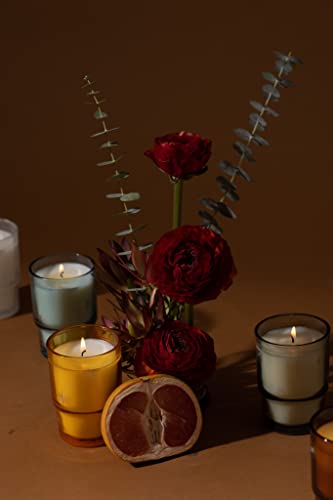 Paddywax Luxury Scented Candles | Vintage MCM Collection Noel Glass Jar Candle, 5.5-Ounce, White Woods & Mint