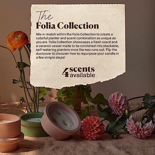 Paddywax - Bamboo & Green Tea (11.5oz) & Gardenia & Tonka (5oz) Scented Ceramic Candle Bundle, Two-Wick Wax Candles, Part of The Folia Collection, Soy Wax Blend, Hand-Poured Wax, Vegan (2-Pack)