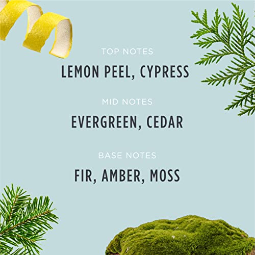 Santa's Naturals Fraser Fir Christmas Candles for Holidays & Gifts, Fresh Cut Tree Scent, Soy & Beeswax Blend, 30+Hour Burn, 9 oz, 2-Pack