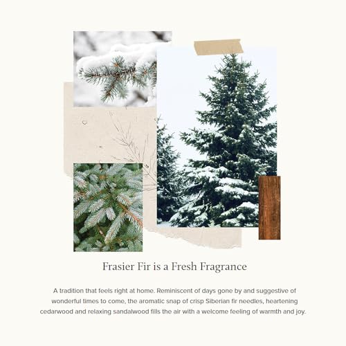 Thymes Frasier Fir Pine Needle Candle – Holiday Candles for Home Scented with Notes of Crisp Siberian Fir, Cedarwood & Sandalwood – Christmas Decor – Christmas Gifts for Women & Men (6.5 oz)
