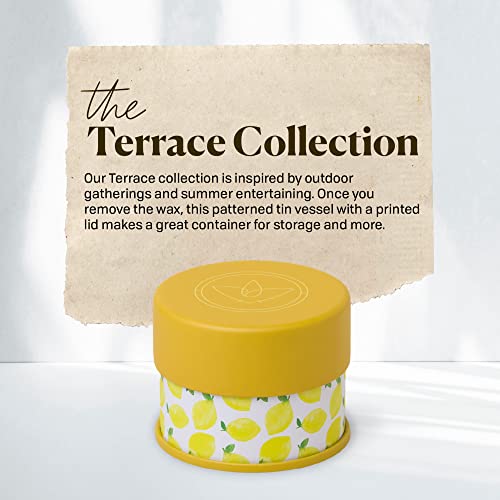 Paddywax Scented Candles Firefly Terrace Collection Soy Wax Candle in Tin, 5-Ounce, Lemon Mint