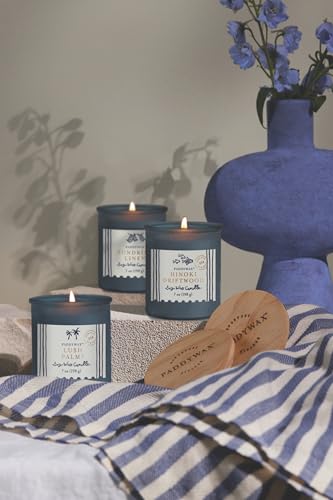 Paddywax Scented Candles Artisan Sea Glass Inspired Coastal Collection Jar Candle with Lid, 7-Ounce, Hinoki Driftwood