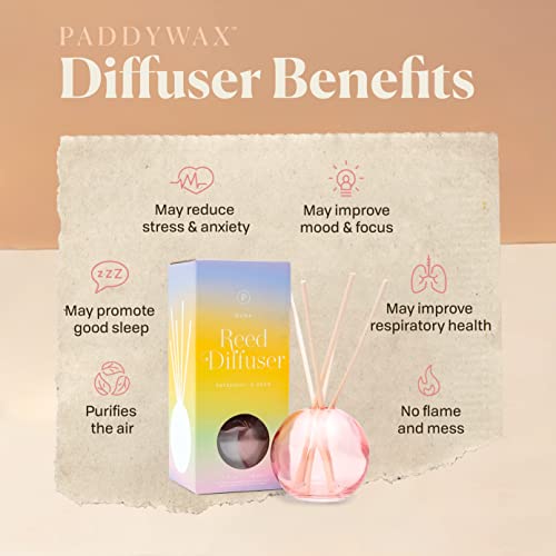 Paddywax Retro Glass Realm Collection Reed Diffuser, 4-Fluid Ounces, Green - Bamboo