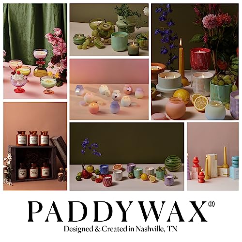 Paddywax - Bamboo & Green Tea (11.5oz) & Gardenia & Tonka (5oz) Scented Ceramic Candle Bundle, Two-Wick Wax Candles, Part of The Folia Collection, Soy Wax Blend, Hand-Poured Wax, Vegan (2-Pack)