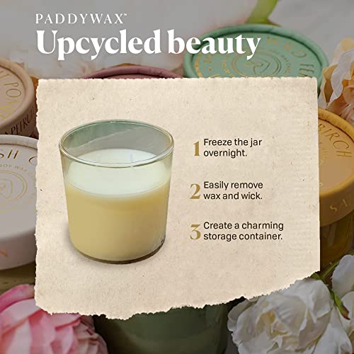 Paddywax Firefly Candle Co. Optimist Scented Candles with Soy Wax Blend and Reusable Glass Jar for Home Fragrance and Aromatherapy - 7 Ounce, Fresh Cotton, Tan