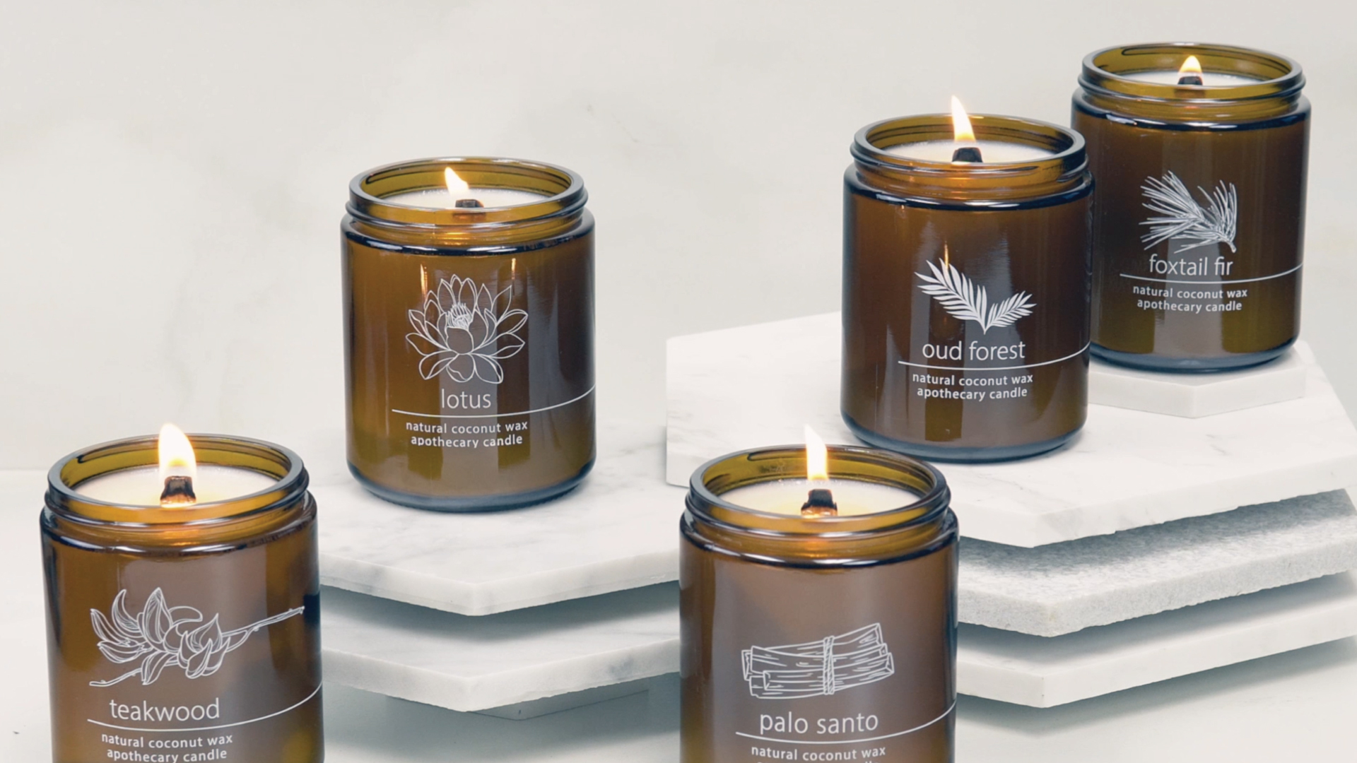 Hemlock Park Crackling Wood Wick Candle Handcrafted with Natural Coconut Wax and Essential Oils (Standard 8 oz, Blood Orange Sage)