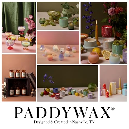 Paddywax Scented Candles Firefly Keepsake Collection Fragrant Soy Wax Candle in Ceramic Canister, 4-Ounce, Lemon Hibiscus