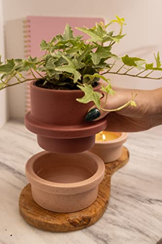 Paddywax Folia Soy Wax Scented Candle, 5-Ounce Ceramic-Jar Candle Holder, Gardenia & Tonka