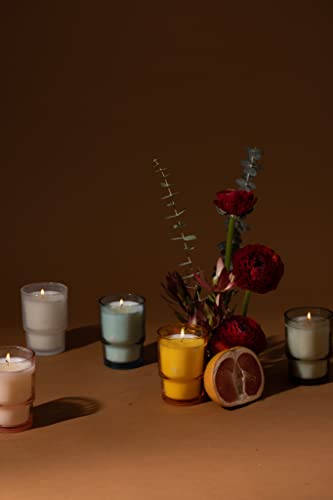 Paddywax Noel Soy Wax Scented Candle, 5.5-Ounce Glass-Jar Candle Holder, Persimmon Chestnut, Small