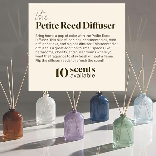 Paddywax Petite Collection Scented Oil Reed Diffuser, Mini - 1.5-Ounce, Brown-Tobacco Patchouli