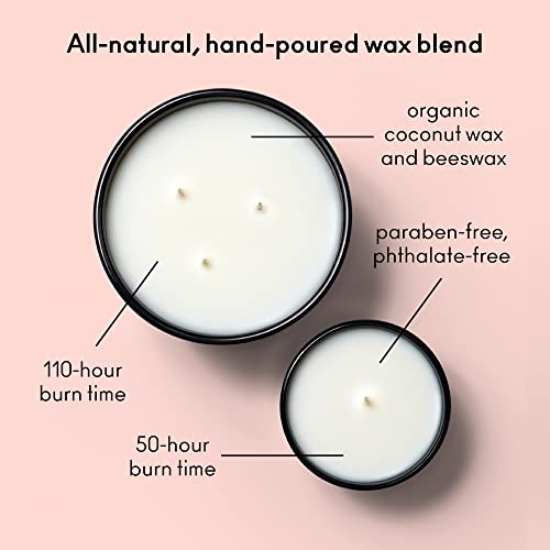 Boy Smells Hinoki Fantôme Scented Candle for Men and Women, Coconut, Beeswax, & Soy Candle Blend, Aromatherapy Candles for Home, 8.5 oz Jar, 50 Hour Burn