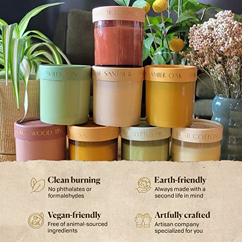 Paddywax Firefly Candle Co. Optimist Scented Candles with Soy Wax Blend and Reusable Glass Jar for Home Fragrance and Aromatherapy - 7 Ounce, Fresh Cotton, Tan