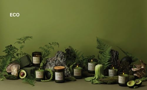 Paddywax Scented Candles Eco Green Artisan Candle in Recycled Vessel, 8-Ounce, Meyer Lemon