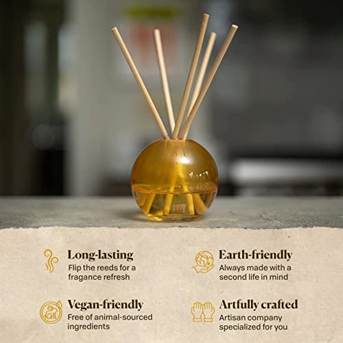 Paddywax Retro Glass Realm Collection Reed Diffuser, 4-Fluid Ounces, Pink - Dusk