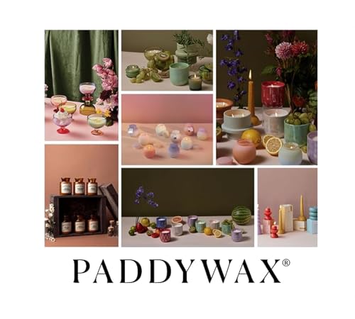 Paddywax Scented Candles Form Collection Artisan Candle in Textured Ceramic Vessel, 12 Ounces, Wild Fig & Vetiver