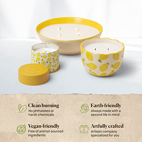 Paddywax Scented Candles Firefly Terrace Collection Soy Wax Candle in Tin, 5-Ounce, Lemon Mint