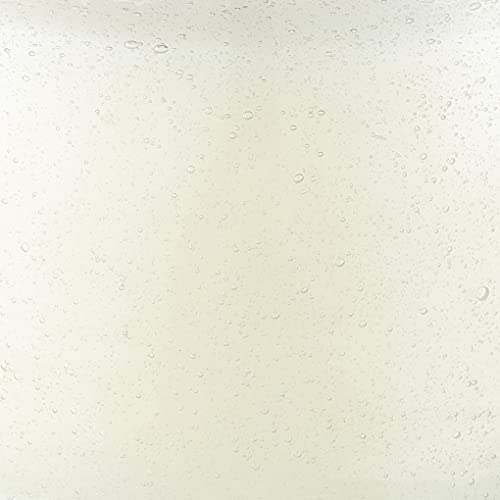 Paddywax Scented Candles Coastal La Playa Collection Artisan Candle in Hand-Blown Glass, 9 Ounces, Cactus Flower Bamboo